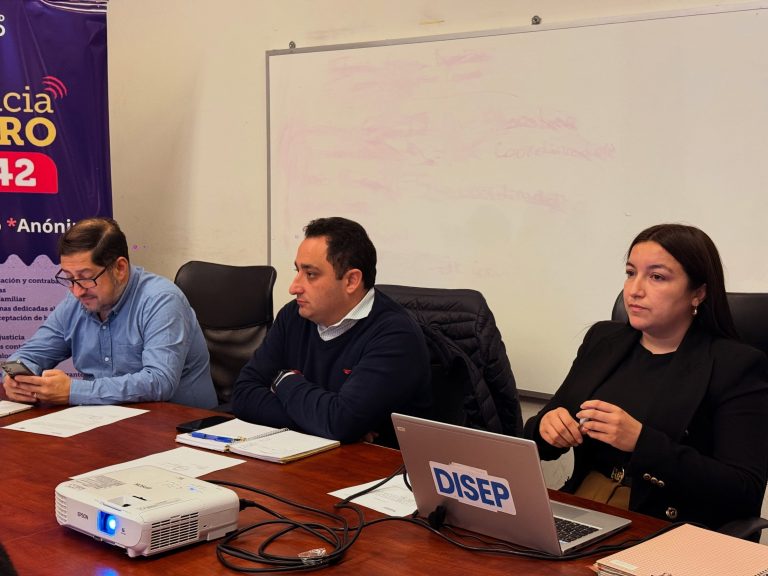 Consejo de Seguridad Pública abordó estrategias preventivas para fortalecer la seguridad en comunidades educativas